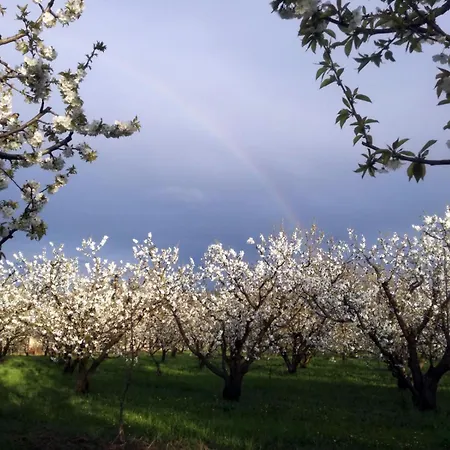 Gospodarstwo agroturystyczne I Toschi Vignola (Emilia-Romagna)